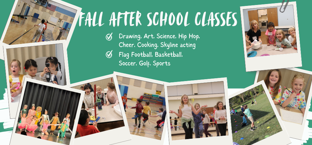 2025 Fall Classes